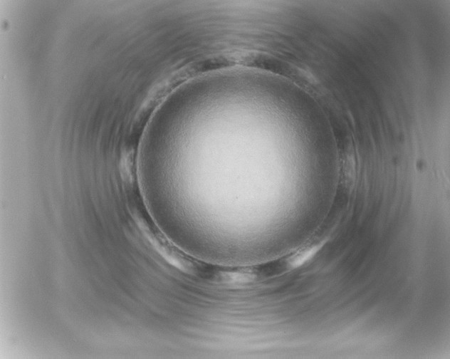 X0000055520286200508191553