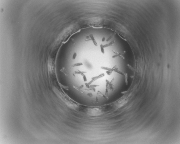 X0000055520287200508191553