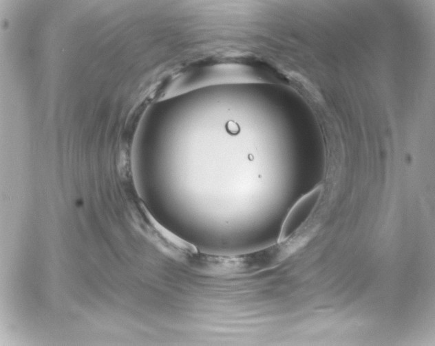 X0000055520288200508191553