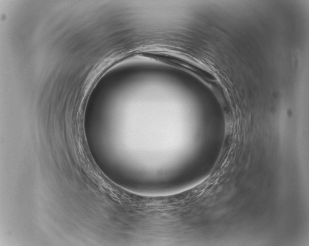 X0000055520289200508191553