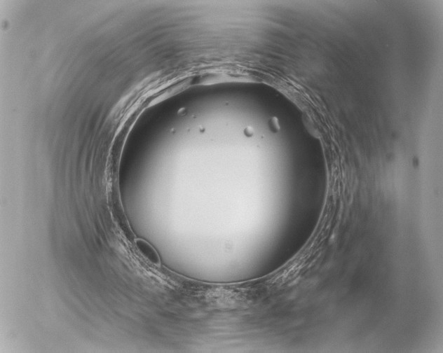 X0000055520290200508191553