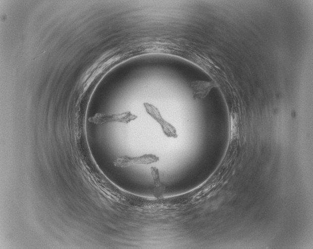 X0000055520291200508191553