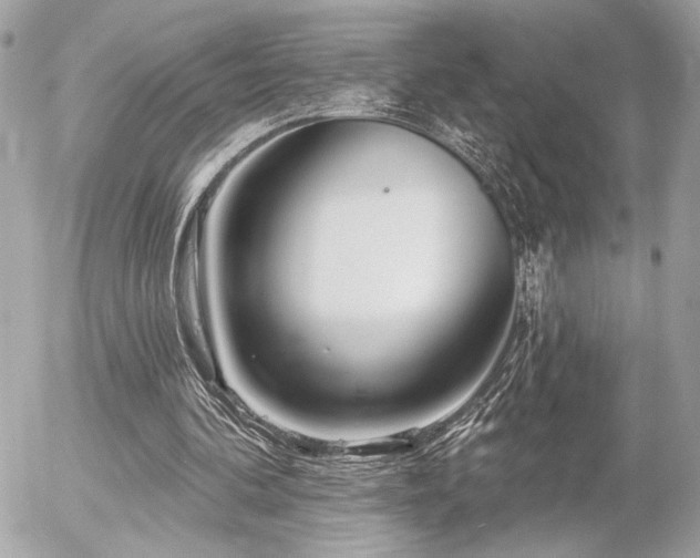 X0000055520292200508191553