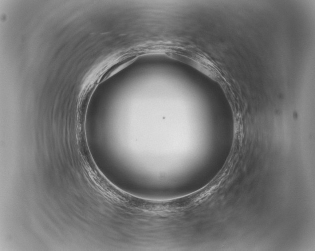 X0000055520293200508191553