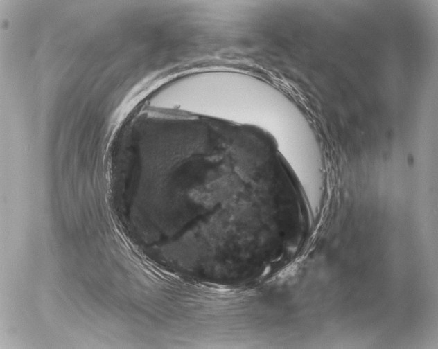 X0000055520295200508191553