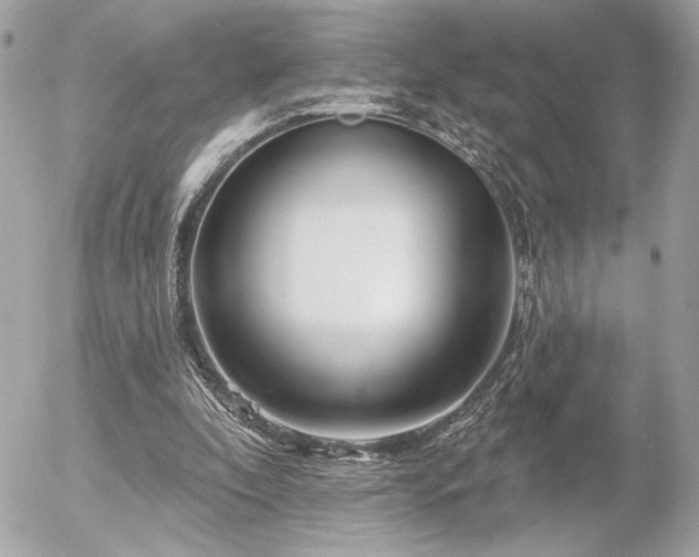 X0000055520296200508191553