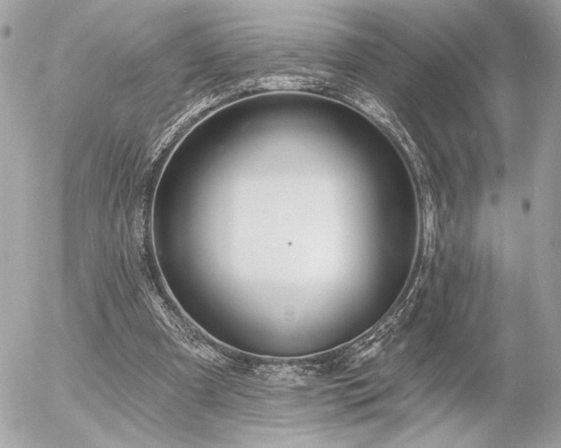 X0000055520297200508191552