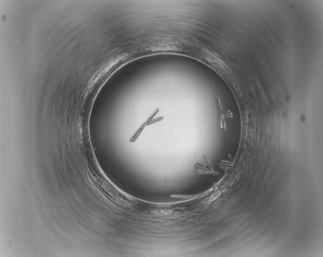 X0000055520298200508191552