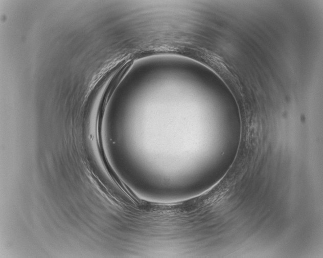 X0000055520299200508191552