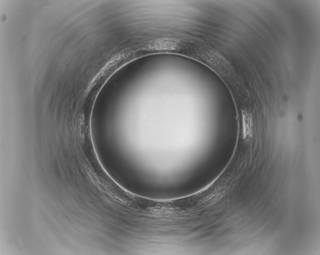 X0000055520300200508191552