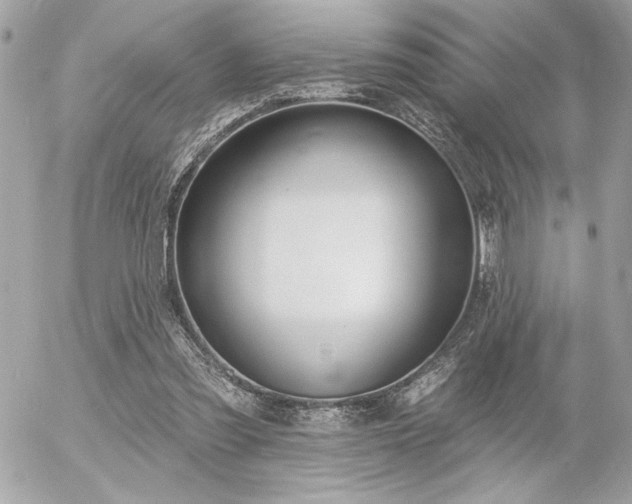 X0000055520301200508191552