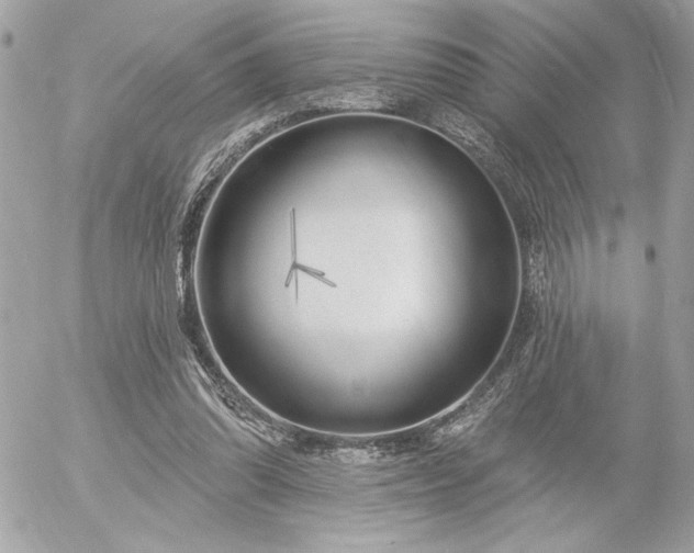 X0000055520302200508191552