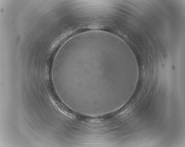 X0000055520303200508191552