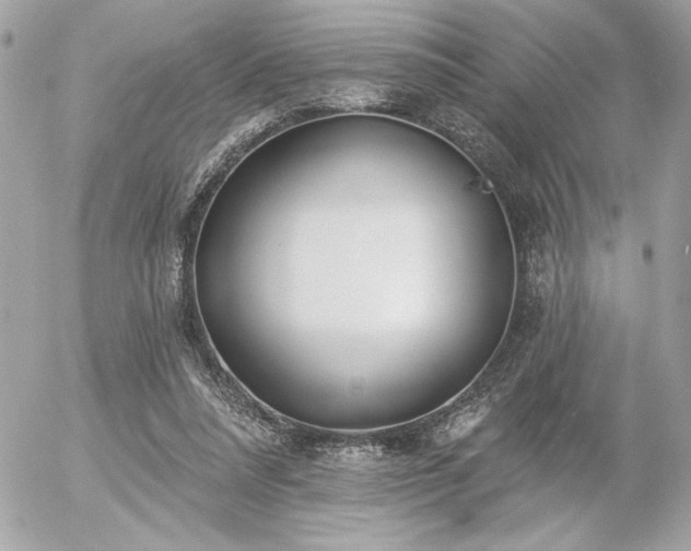 X0000055520304200508191552