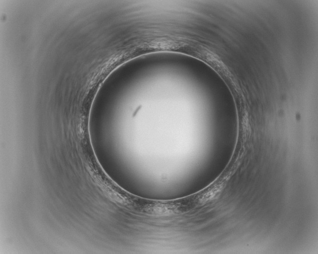 X0000055520305200508191552