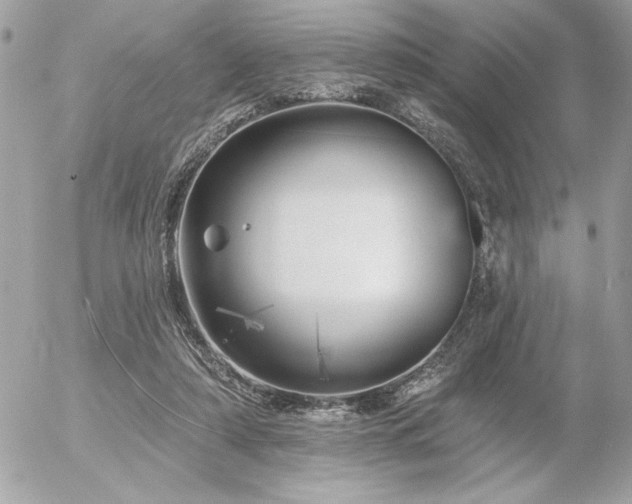 X0000055520306200508191552