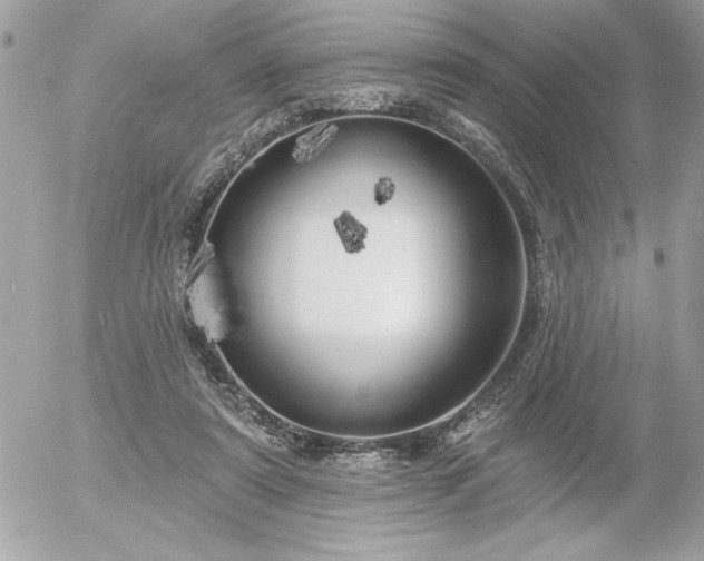 X0000055520307200508191552