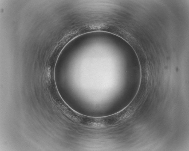 X0000055520308200508191552