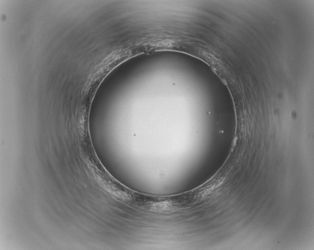 X0000055520309200508191552