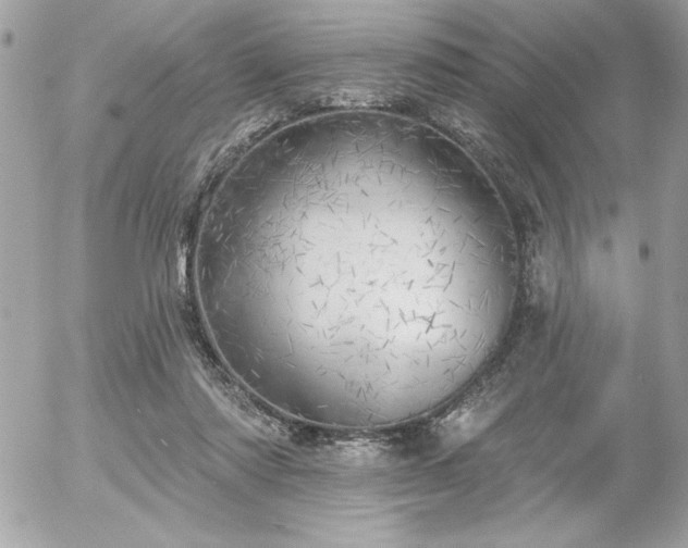 X0000055520310200508191552