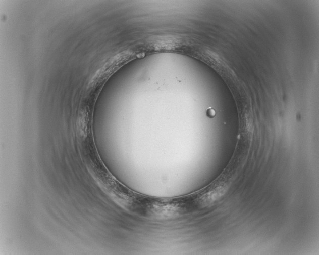 X0000055520311200508191552