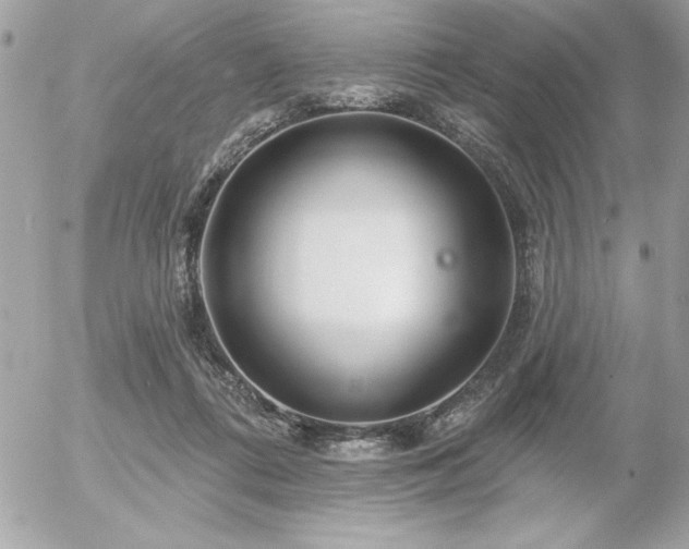 X0000055520312200508191552