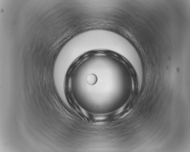 X0000055520313200508191552