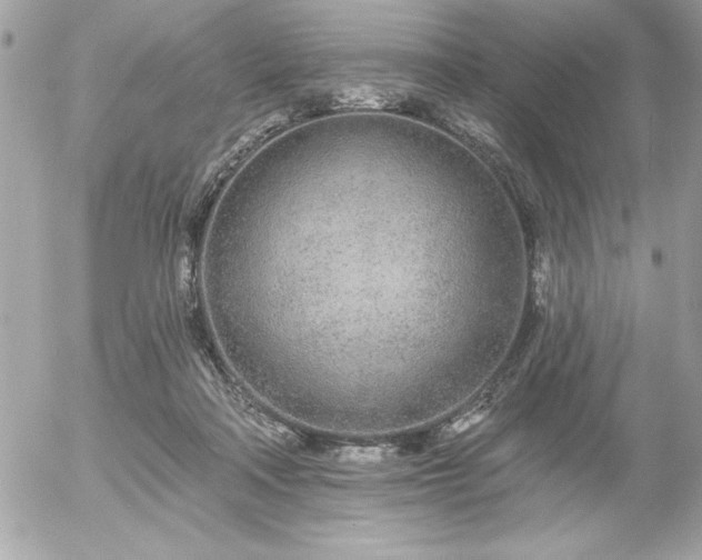 X0000055520314200508191552