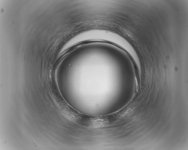 X0000055520315200508191552