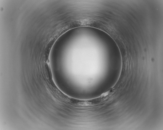 X0000055520316200508191552