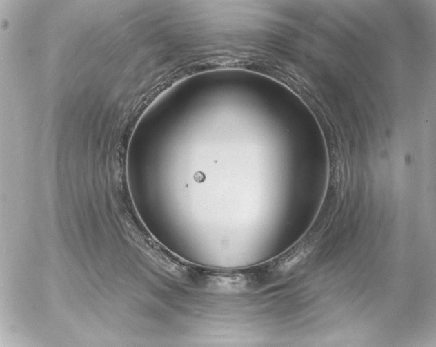 X0000055520317200508191552