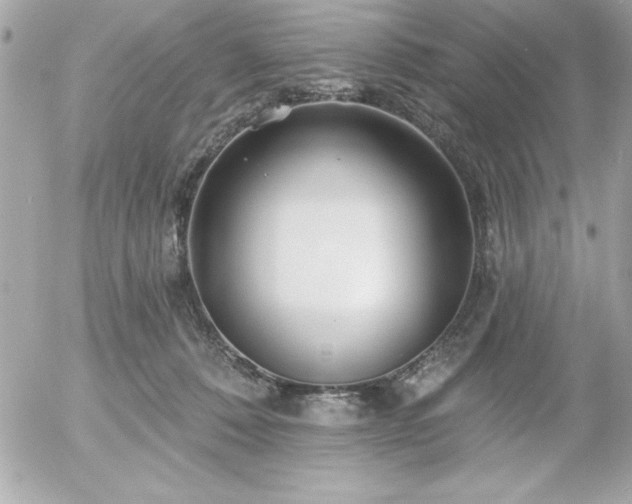 X0000055520320200508191552