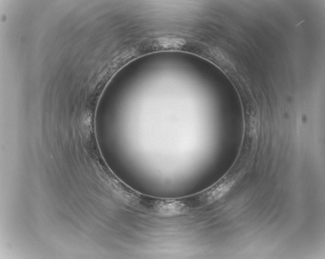 X0000055520321200508191552