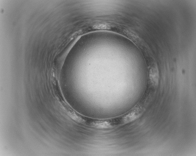 X0000055520322200508191552