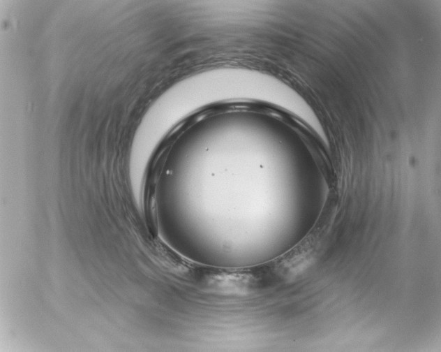 X0000055520323200508191552