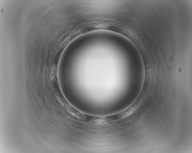 X0000055520325200508191552