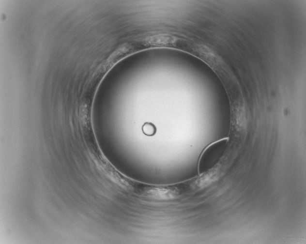 X0000055520326200508191552