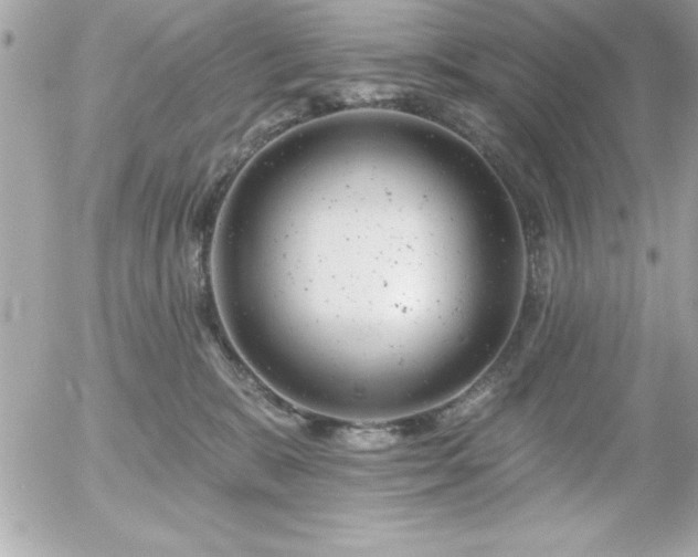 X0000055520327200508191552