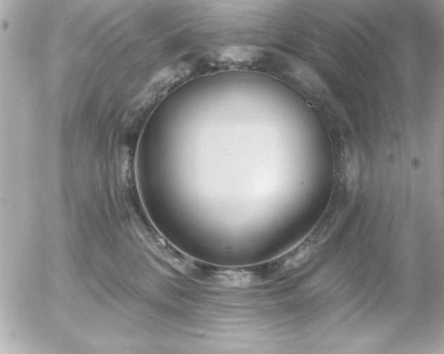 X0000055520328200508191552