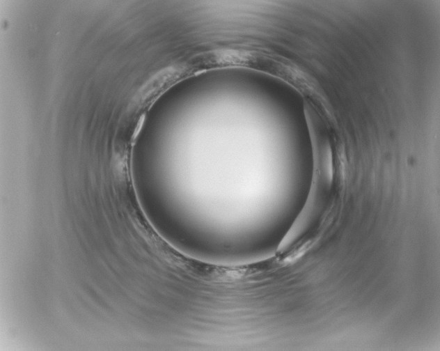 X0000055520329200508191552