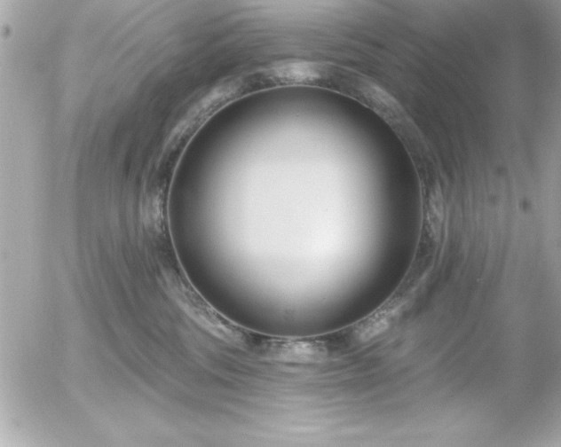 X0000055520330200508191552