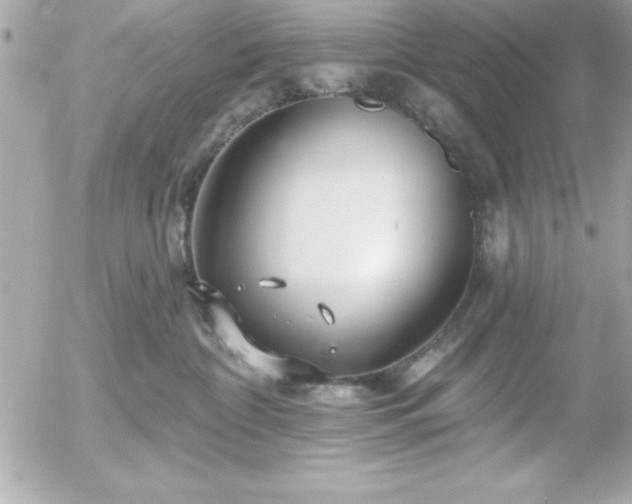 X0000055520332200508191552