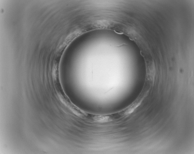 X0000055520334200508191552