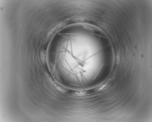 X0000055520335200508191552