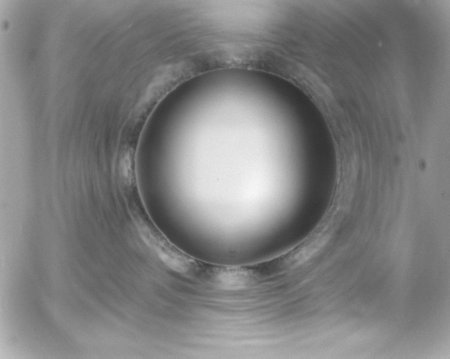 X0000055520336200508191552