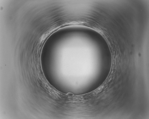 X0000055520337200508191551