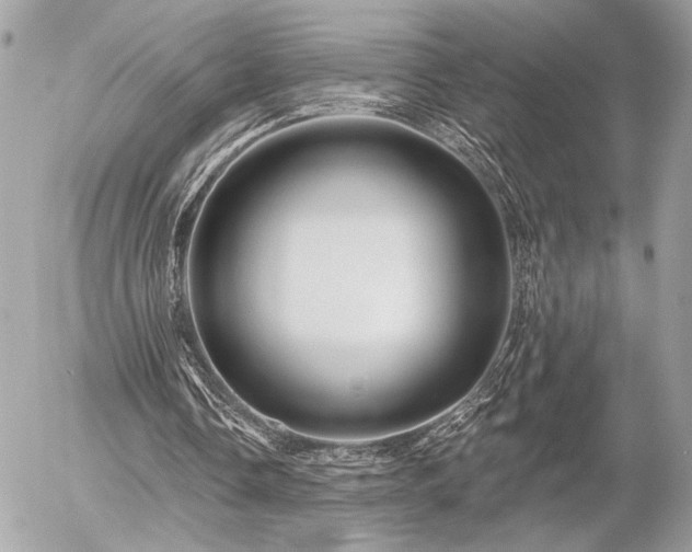 X0000055520338200508191551