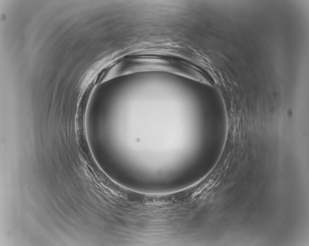 X0000055520340200508191551