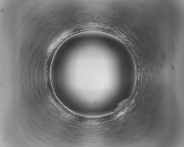 X0000055520341200508191551