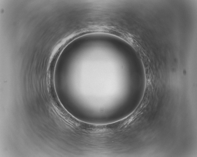 X0000055520342200508191551